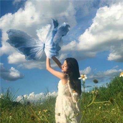 向日葵与幼犬的7天国语